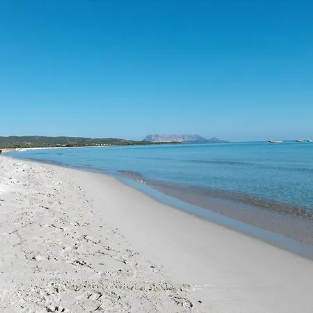 Semesterbostad La Conchiglia D'oro By Interhome Budoni