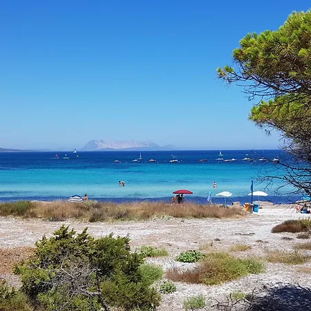 La Conchiglia D'oro By Interhome * Budoni