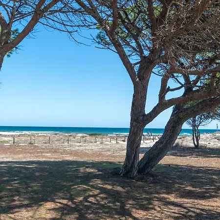 La Conchiglia D'oro By Interhome