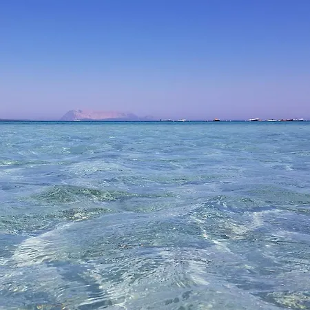 La Conchiglia D'oro By Interhome Semesterbostad Budoni